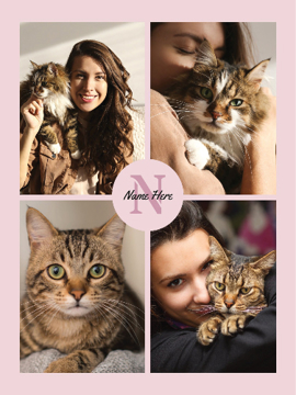 Picture of Pets-08 60x50 Sherpa